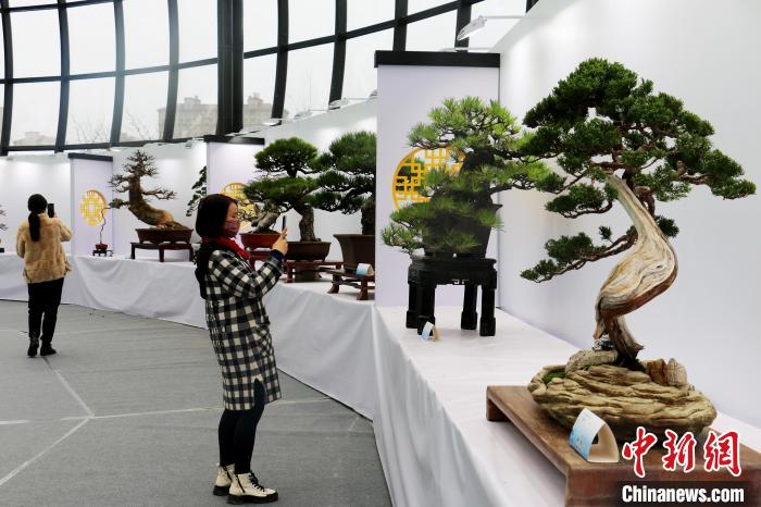 2022中国·合肥苗木花卉交易大会在安徽肥西开幕