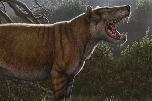 狮鬣兽：生活于2300万年前（灭绝的史前巨兽）
