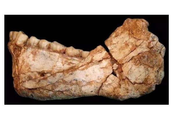令人惊叹的考古发现，智人骨骼也是其一