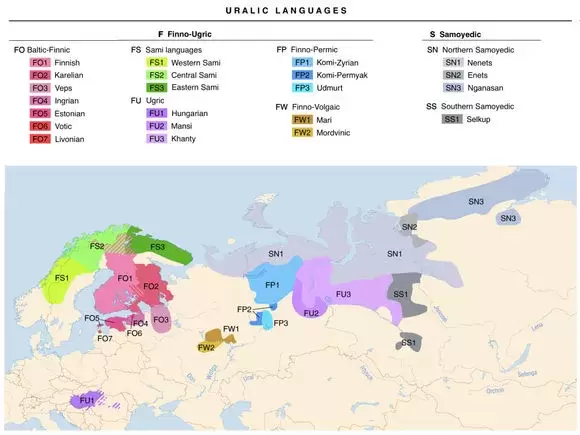 世界上的语系都有哪些？盘点世界不同语系的语族类别
