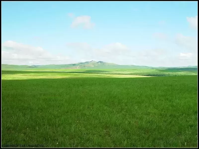 中国的15大草原你扬鞭策马奔腾过几个