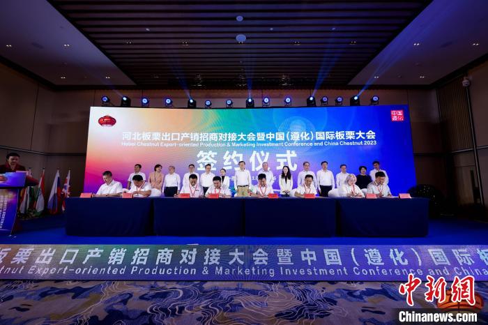 中国国际板栗大会遵化开幕  全球200余名板栗“大咖”共谋发展