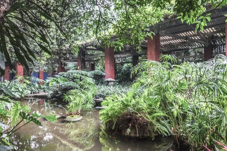 广州动物园周边游玩攻略必看 广州动物园附近景点分享