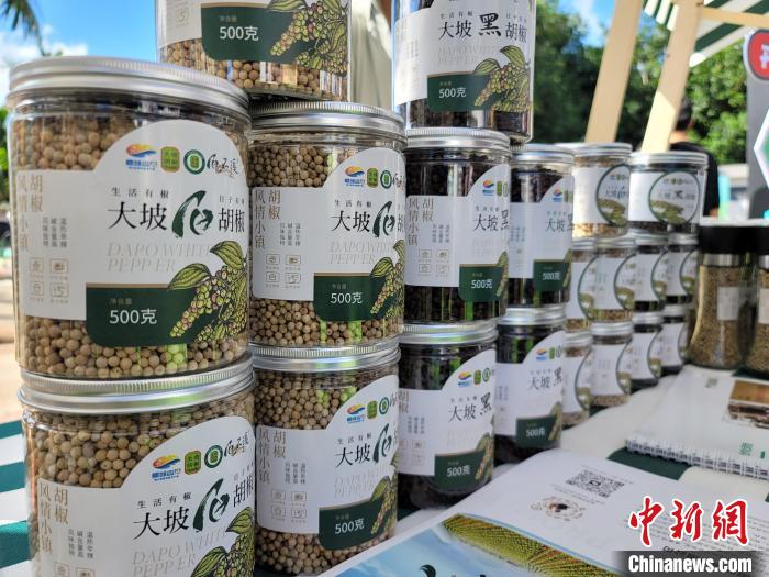 海南成立胡椒产业联盟 打造现代化胡椒产业链