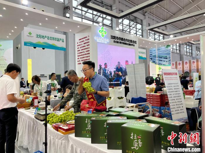 辽宁沈阳国际农博会启幕 千余家企业、近万种农产品汇集