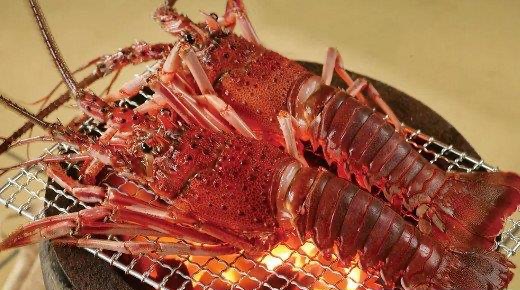 最贵龙虾十大排名图片及价格 波士顿龙虾只能排第7