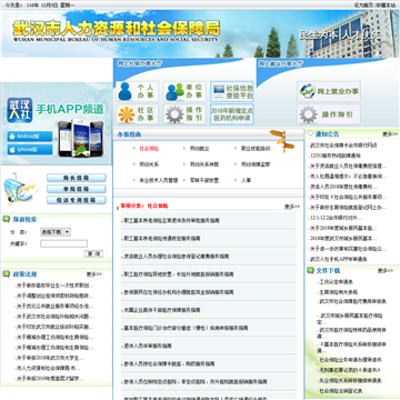 武汉市人力资源和社会保障服务网网站图片展示